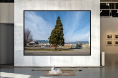2019 -- Evans Avenue, Vancouver.