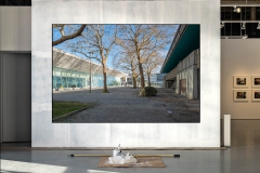 April 1st, 2021 -- West side of the Aquatic Center, UBC.